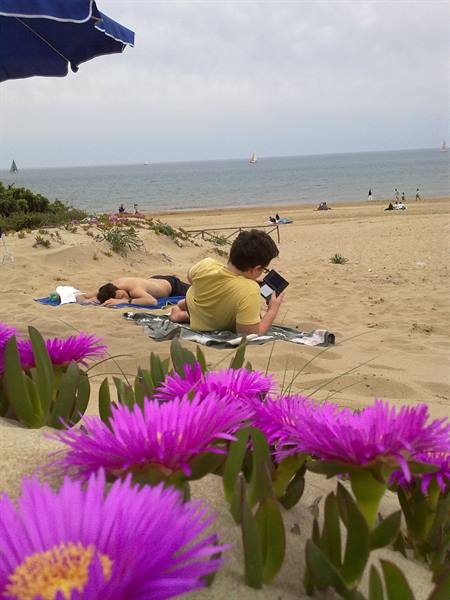 Beach of Torre Paola - San Felice Circeo