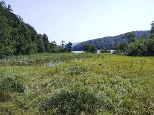 The Plitvice lakes