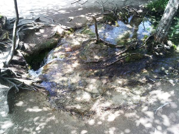 The Plitvice lakes