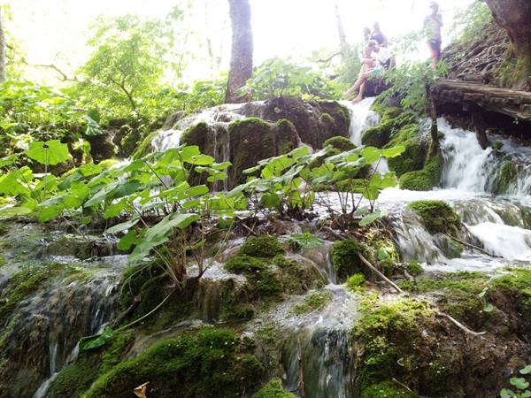 The Plitvice lakes
