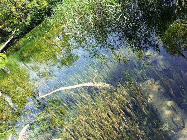 The Plitvice lakes