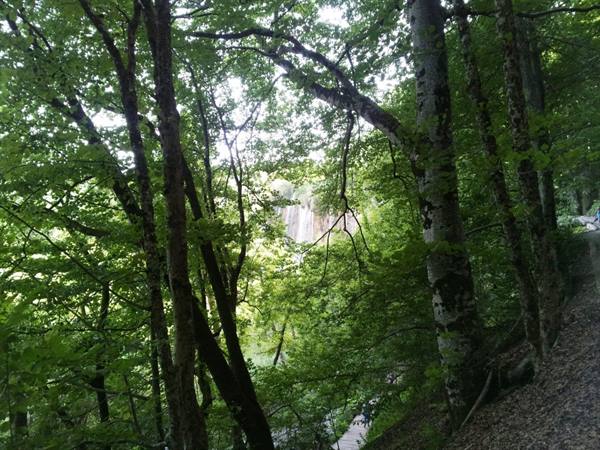 The Plitvice lakes