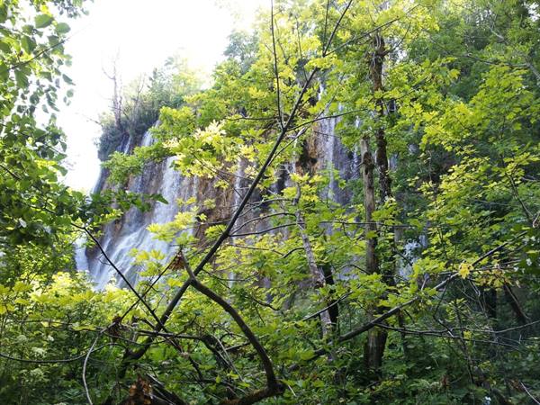 The Plitvice lakes