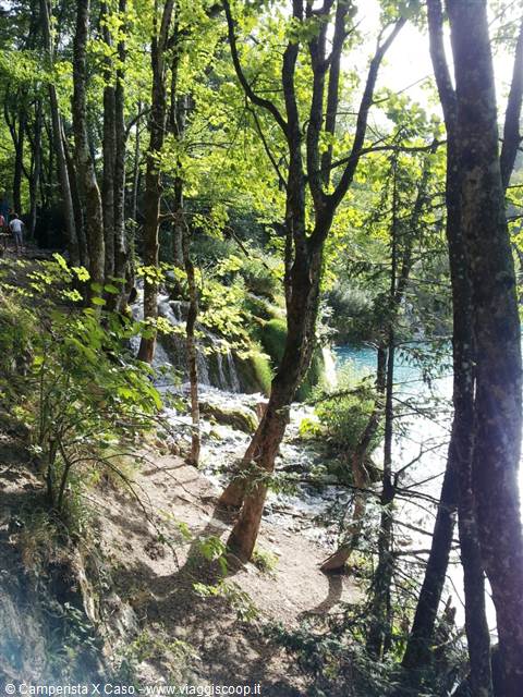 The Plitvice lakes