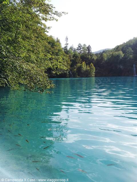 The Plitvice lakes
