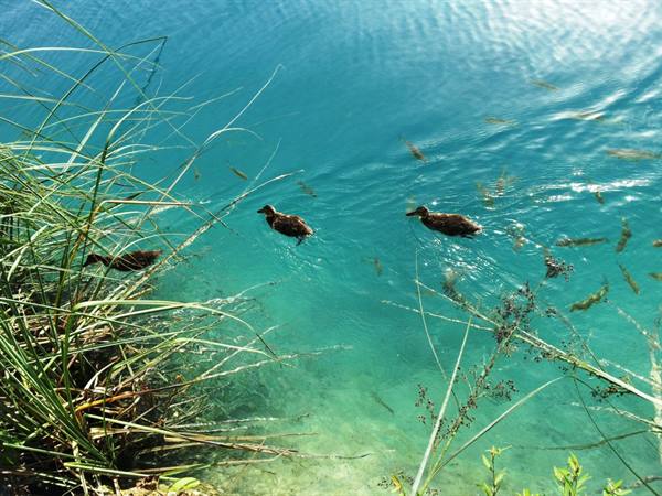 The Plitvice lakes