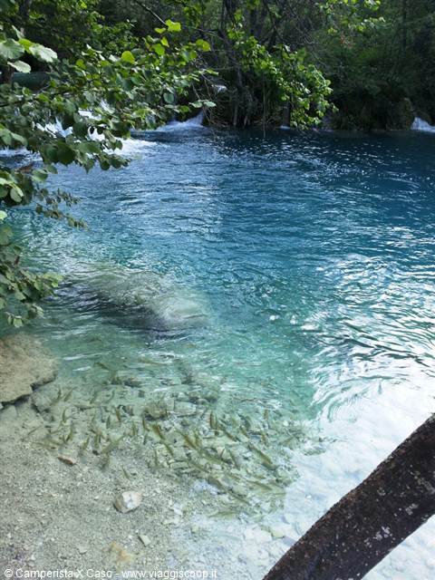 The Plitvice lakes