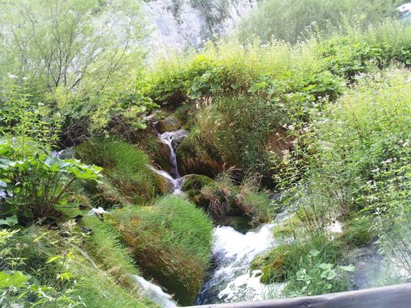 The Plitvice lakes