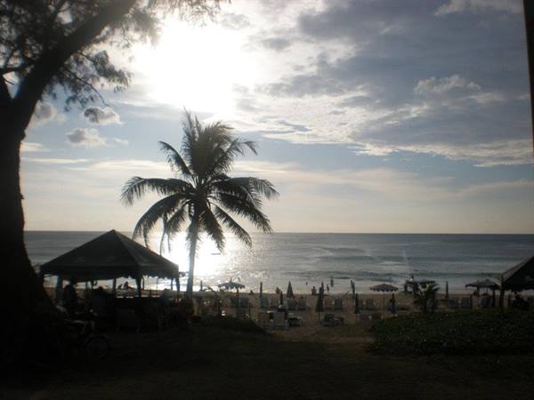 Palm tree and beach umbrellas, swimmers in the sea under the sun