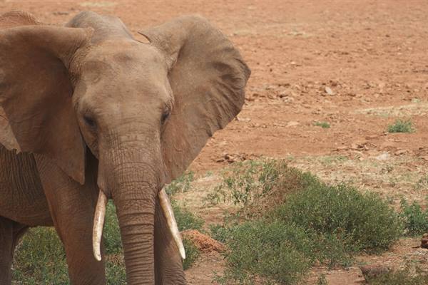A close encounter