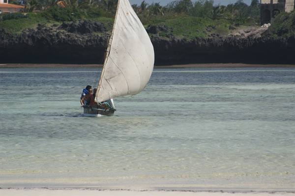 The Island of love