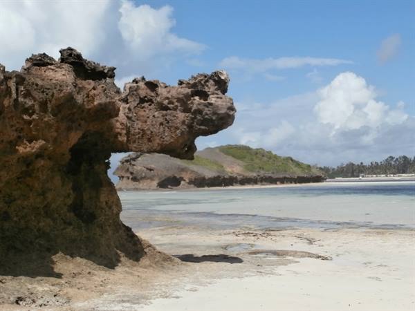 The Island of love