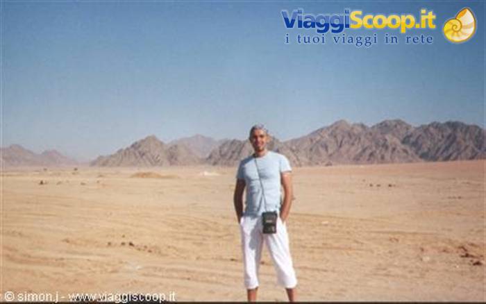 Sinai desert