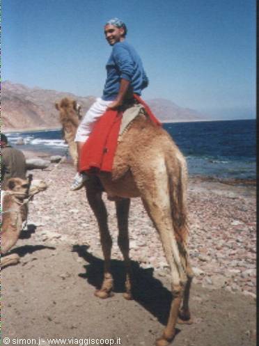 camel ride