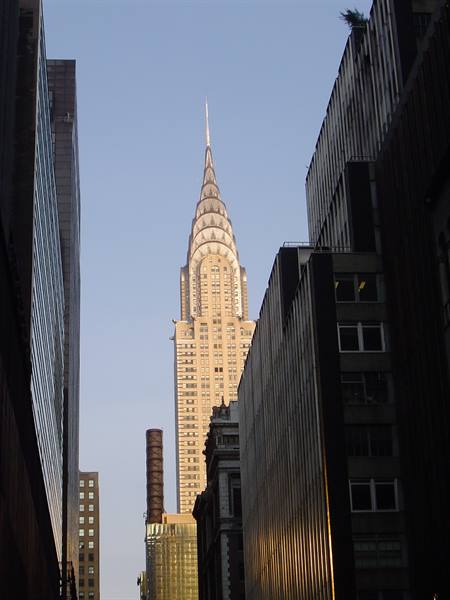 The Chrysler Building rising between glass and steel towers in sunlight