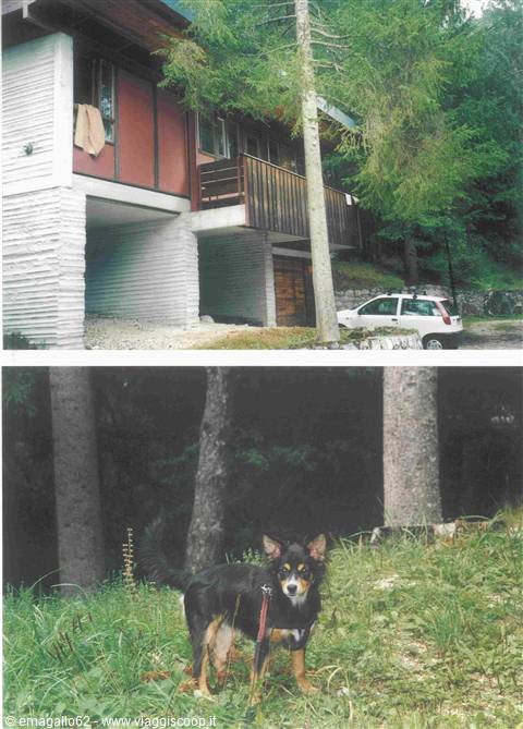 our lodge in borca di cadore