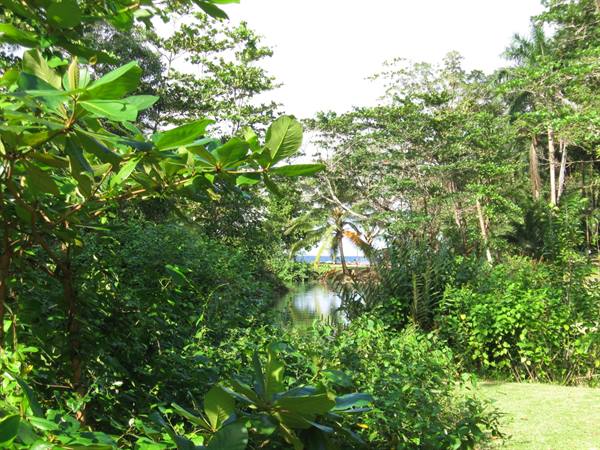 Earthly Paradise
