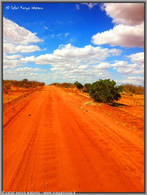 Tsavo East