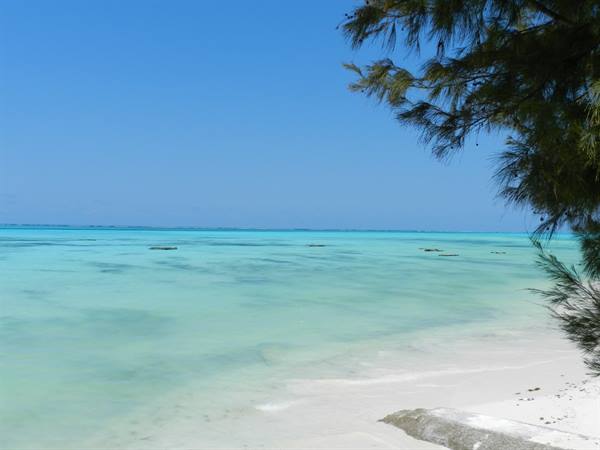 ZANZIBAR, SPICE ISLAND- Imbarcoindividuale.com 