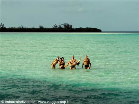 Group of friends standing in shallow turquoise water near a green islet