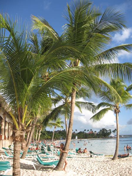 marisa and the palm tree