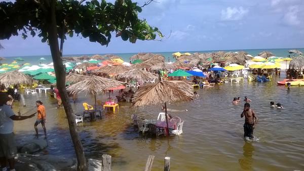 Straw umbrellas line a green seaside beach, swimmers wade among tables