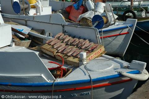 White fishing boat with dried fish on deck, Greek harbor