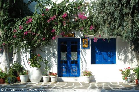 Blue door and bougainvillea on whitewashed house, flower pots, Mykonos