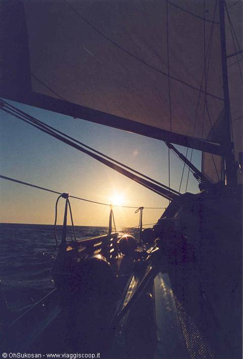 Sailboat sail and rigging backlit over the open sea