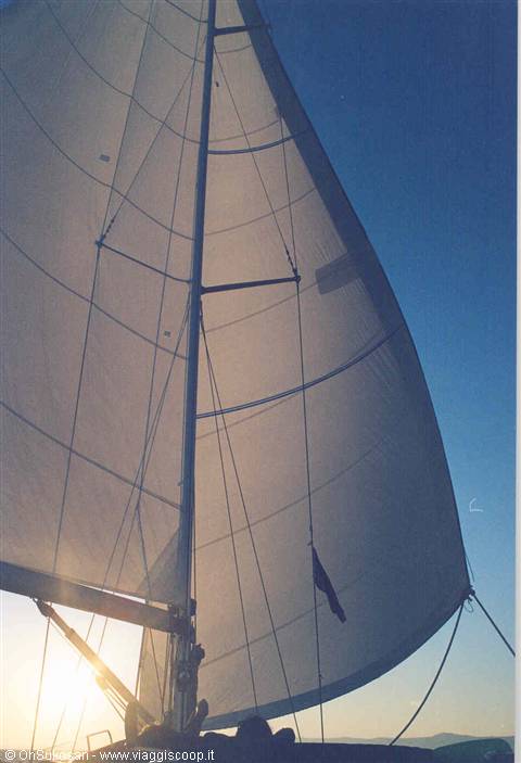 White sail full of wind mast and ropes lit by low sun over the sea