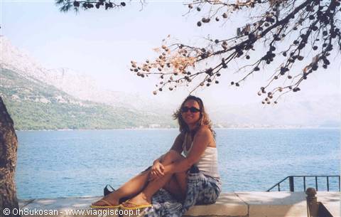 Woman sitting on a stone ledge by the bay, pine branches above