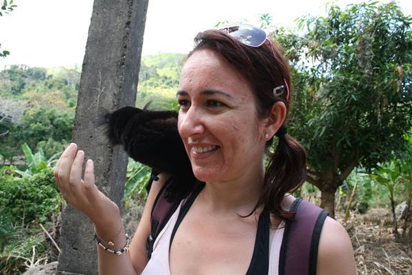 lemur