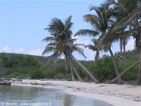 contoy island