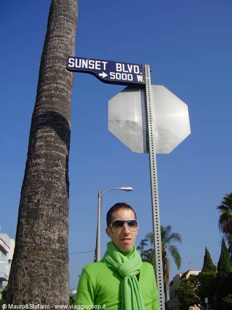 Mauro on Sunset Blvd