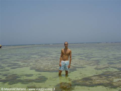 Stefano in the Red Sea