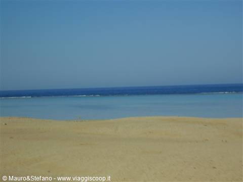 The red sea.........the red sea......