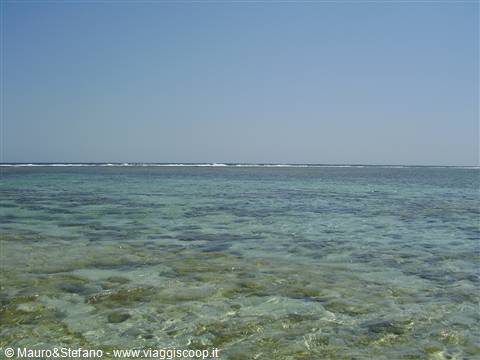 The Red Sea.....