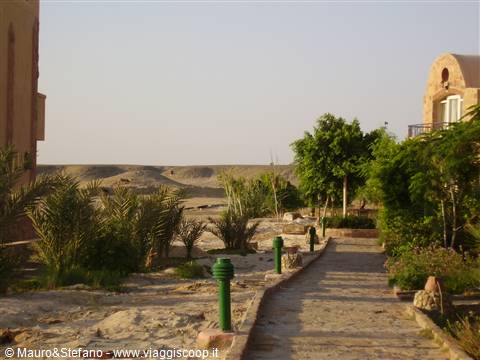 the dawn.... towards the desert.. truly something unique and wonderful..