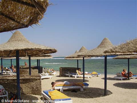 The beach