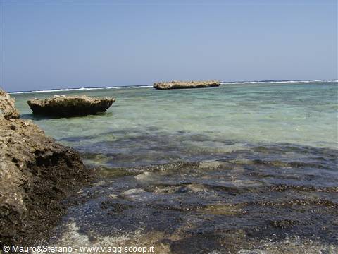red sea........ fantastic....