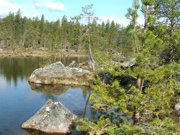 Water and land.