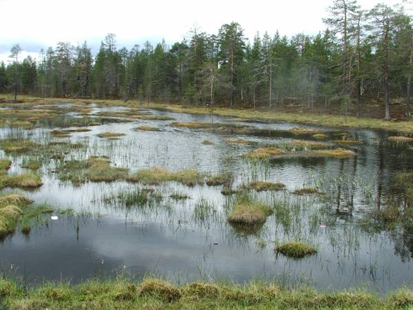 Water and land.