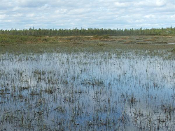 Water and land.