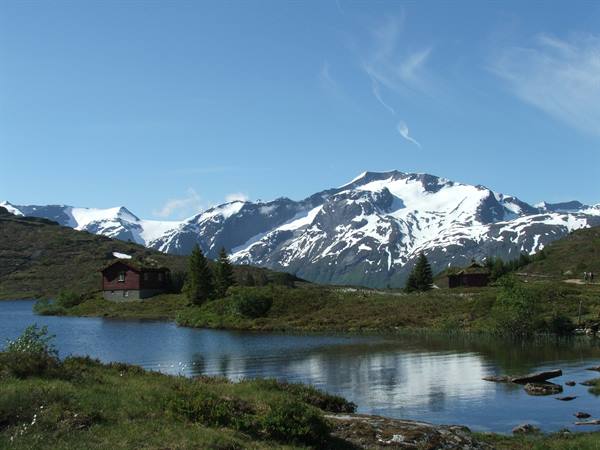 .alpine landscape