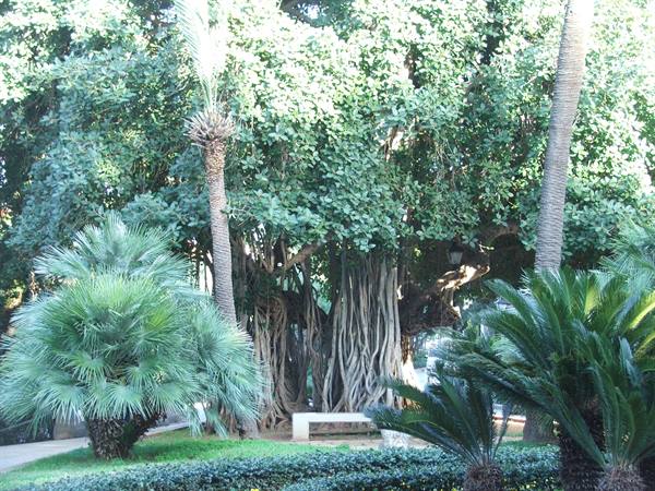 Inside the American University.