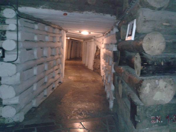 The Wieliczka salt mines 