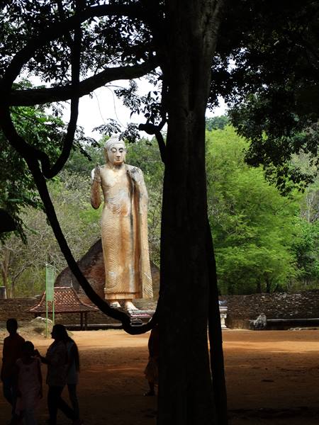 Buddha.