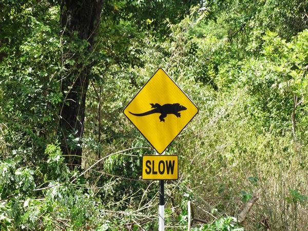 road signs