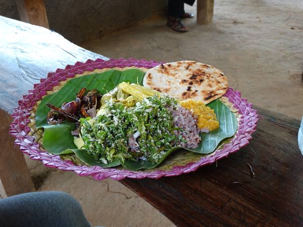 Lunch in the rice fields
