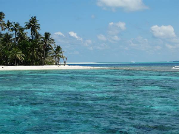 Turquoise water and palm trees on white tropical atoll beach